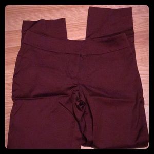 Burgundy Dress pants